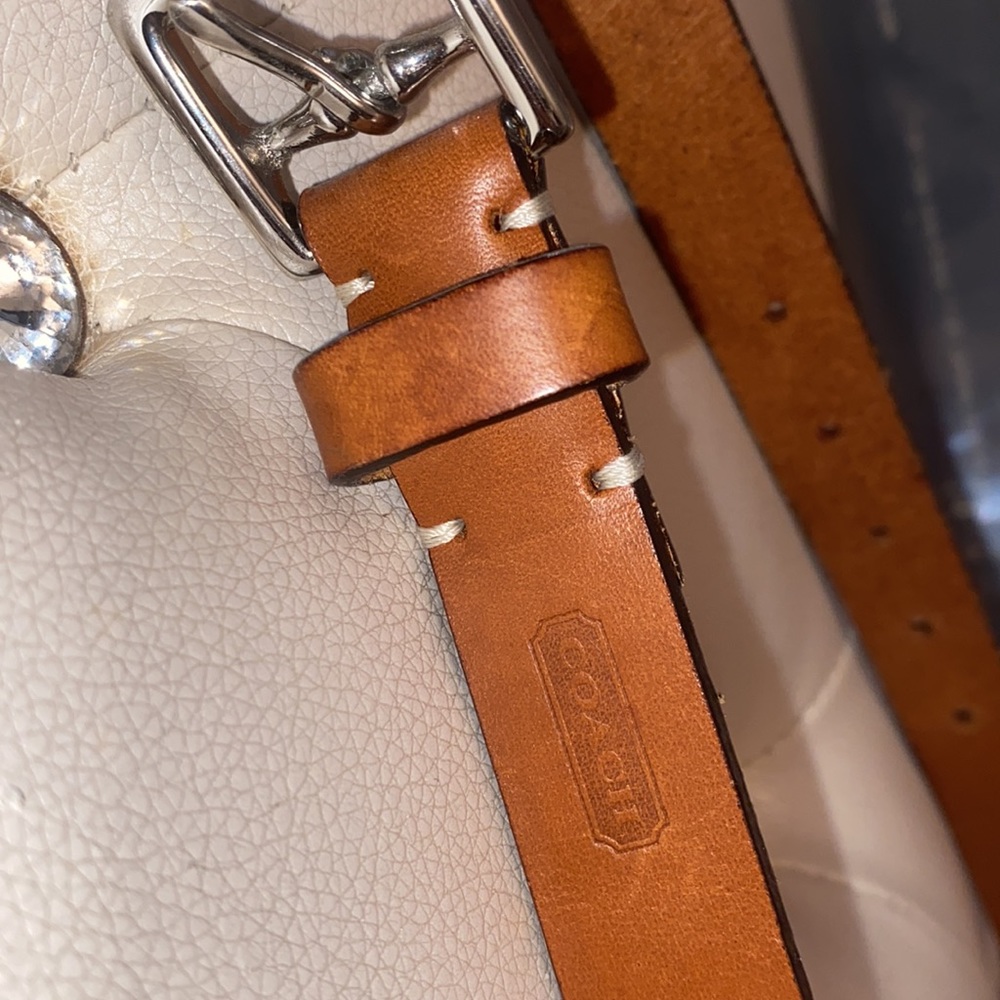 Brand new never work coach belt - Picture 3 of 4